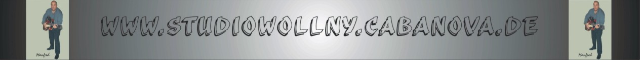 Banner Studiowollny klein